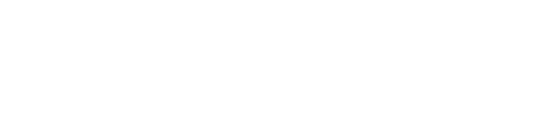 Natazia® (estradiol valerate and estradiol valerate/dienogest) logo